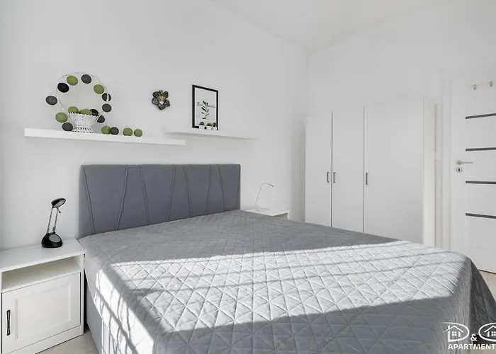 Morski Zakatek D&d Dziwnówek