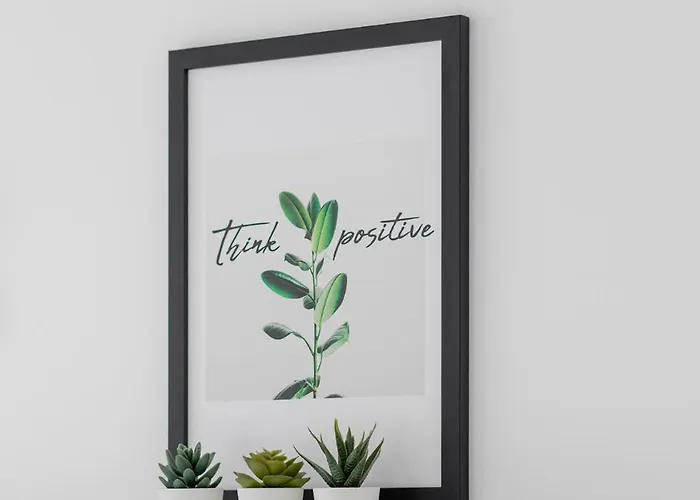 Morski Zakatek D&d *